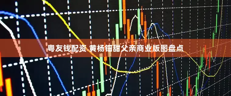 粤友钱配资 黄杨钿甜父亲商业版图盘点