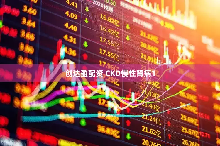 创达盈配资 CKD慢性肾病1