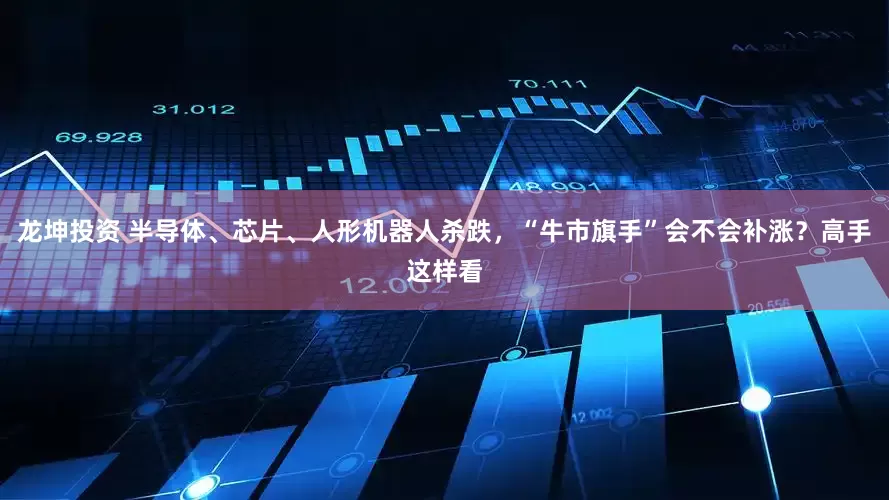 龙坤投资 半导体、芯片、人形机器人杀跌，“牛市旗手”会不会补涨？高手这样看